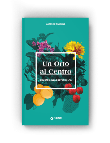 book_orto
